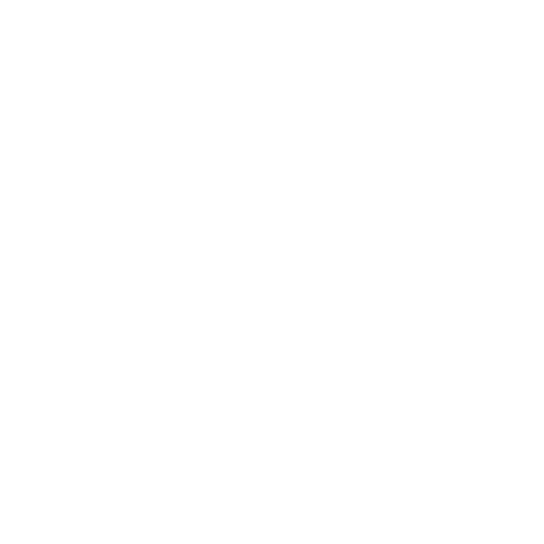 Tailored Support Icon